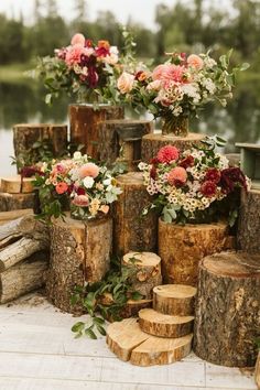 there are many vases with flowers in them on the wooden logs by the water