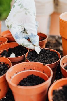 a person in white glove and gloves digging dirt into potted plants