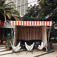 two lawn chairs under an awning in the middle of a courtyard with palm trees