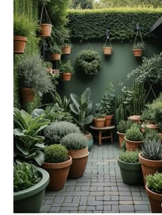 many potted plants are hanging from the side of a green wall in a garden