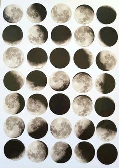 the phases of the moon are shown in black and white, as well as gray circles