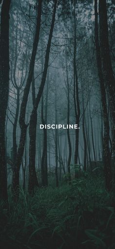 a dark forest with trees and the word discipline written in white on top of it