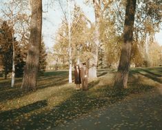 a woman standing in the middle of a park with trees and leaves all around her