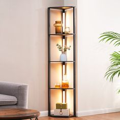 a living room filled with furniture and a potted plant on top of a shelf