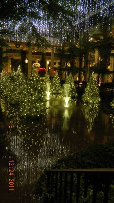 christmas lights decorate trees and fountains in the middle of a pond