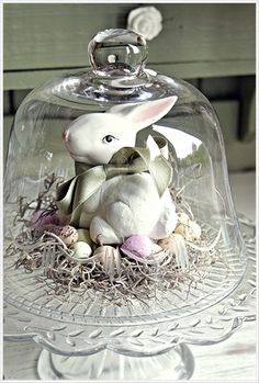 a glass clochel with an easter bunny in it's nest under a clear dome