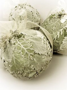 three cabbages wrapped in white paper and tied with ribbon, sitting side by side