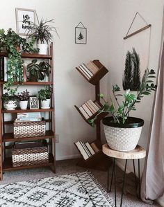 a living room with plants and books on shelves