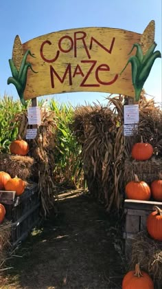 a corn maze with pumpkins and hay in the foreground, under a sign that says corn maze