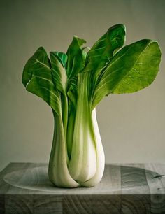 a white vase filled with green leafy vegetables on top of a wooden table next to a wall