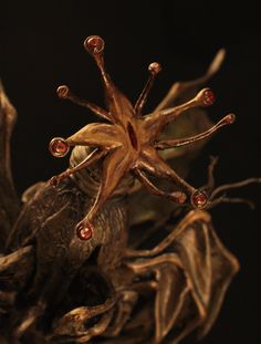 a close up view of an odd looking plant with tiny red beads on it's petals