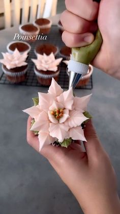 someone is decorating cupcakes with pink flowers