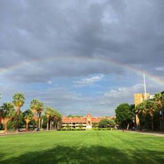 a rainbow in the sky over a green field with palm trees and buildings behind it