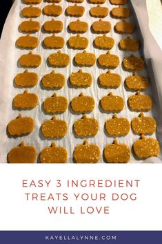 an image of homemade dog treats with text overlay that reads easy 3 ingredient treats your dog will love