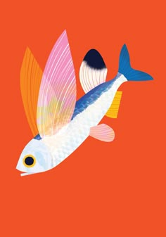 a fish with colorful wings flying through the air