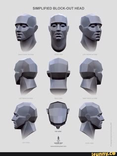 an image of different types of head shapes