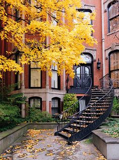 a black staircase next to a tree with yellow leaves