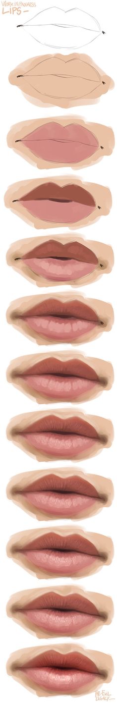 the different shades of lipstick are shown in this graphic style, including pinks and browns