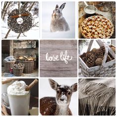 a collage of pictures with various food items and words on them, including an image of a deer