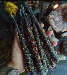 a person holding several different types of flowers in their hands