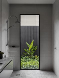 an open door leading into a bathroom with plants in the water and a shower head