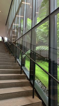 the stairs are made of glass and have grass growing on them in front of large windows