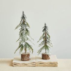 two small pine trees sitting on top of a book