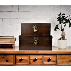 two wooden trunks sitting on top of a table next to a potted plant and books