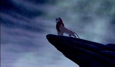 a lion standing on top of a rock in the rain