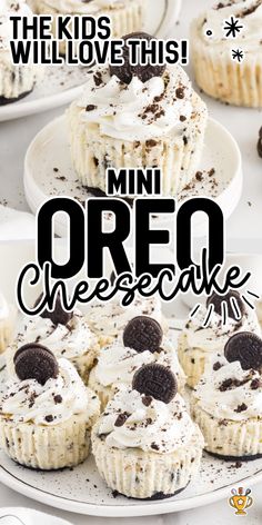 mini oreo cheesecakes on a white plate with the words, the kids love this