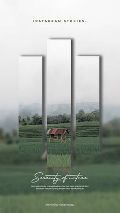 an advertisement for the international studies program, featuring three images of farm fields and a barn