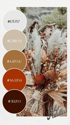 the color scheme for autumn is brown, orange and white with an assortment of different colors