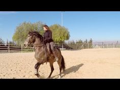 a woman riding on the back of a brown horse in an enclosed area with trees