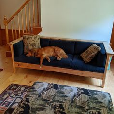 a dog laying on top of a blue couch in a living room next to a stair case