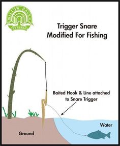 the diagram shows how to use a fishing rod for catching fish and other things that can be found in the water