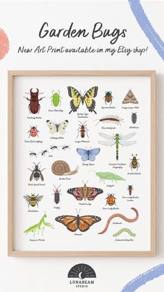 Ladybug art, praying mantis, painted lady butterfly, butterfly art, insect art, bumblee art, beetle art, insect illustrations, woodland nursery, educational art, garden bug art print, nature artist Bugs Art, Nursery Woodland, Bug Print, Garden Bugs, Insect Print, Wall Art Kids Room, Bug Art, Nursery Theme