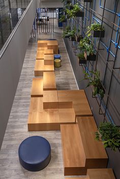 an indoor area with wooden benches and plants