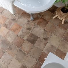 a bath tub sitting next to a toilet in a bathroom under a plant on the floor