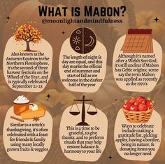 Mabon is a pagan holiday celebrated during the autumnal equinox, typically around September 21st or 22nd. It marks the second harvest festival of the year and is a time of gratitude for the abundance of the harvest season, as well as a reflection on the balance between light and darkness as the days grow shorter #Mabon #MabonHarvest #AutumnEquinox #MabonRituals #SeasonalBalance Witch Sabbats, Pagan Yule, Pagan Holidays, Pagan Festivals, Eclectic Witch, Light And Darkness