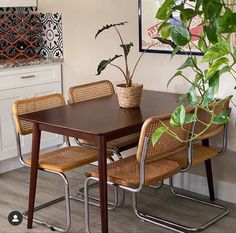 a dining table with chairs and a potted plant