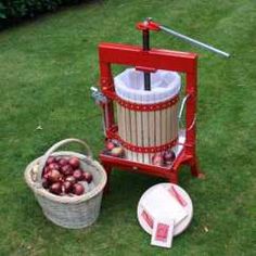 a red juicer sitting on top of a green field next to a bucket of fruit