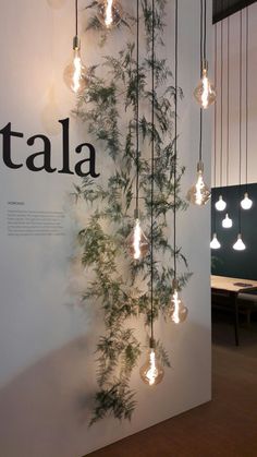 an exhibit with plants and lights hanging from the ceiling