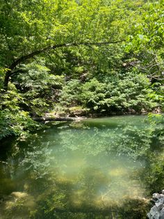 a river surrounded by trees in the middle of a forest