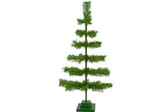 a small pine tree is shown in front of a white background