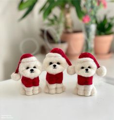 three small white teddy bears wearing red and white outfits