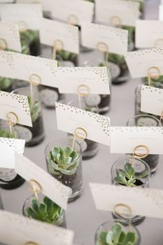 small glass vases filled with succulents and place cards on top of a table