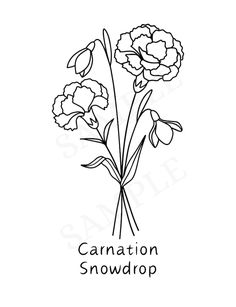 a black and white drawing of flowers with the words carnation snowdrop