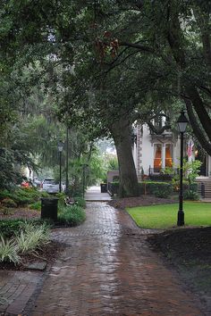 a brick walkway leads to a white house in the distance with trees on either side