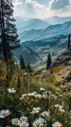 wildflowers on the side of a mountain with mountains in the backgroud