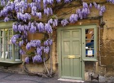 purple flowers are growing on the side of a building in front of a green door